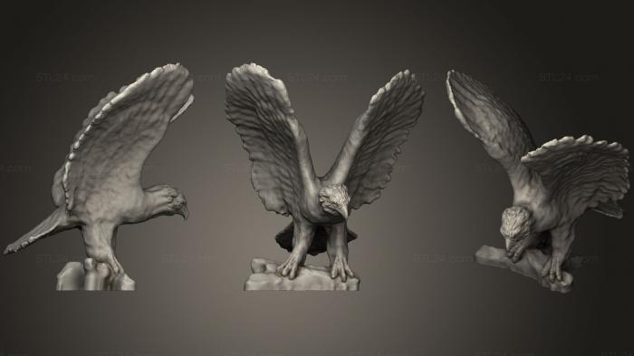 Статуэтки птицы (Орел, STKB_0168) 3D модель для ЧПУ станка